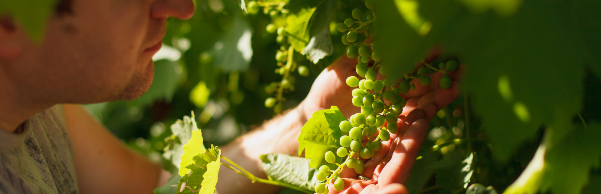 Responsabilité Sociale et Environnementale du Champagne à l’affiche du prochain afterwork