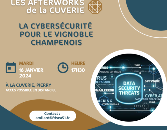 Afterwork : la cybersécurité pour le vignoble champenois